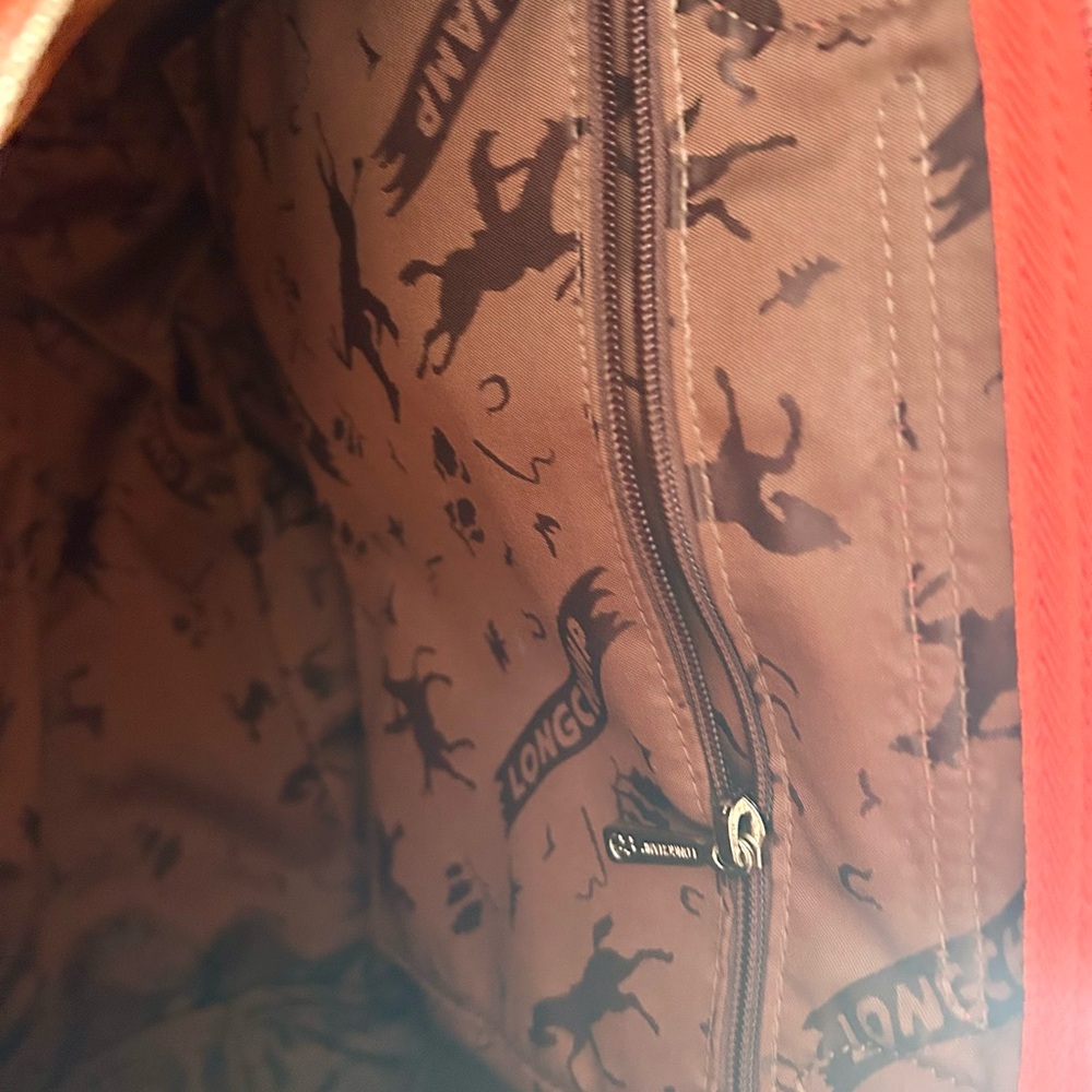 Longchamp Modele Depose Bag in Medium - Picture 4 of 14